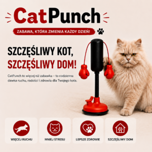 CatPunch – zabawka, której kot nie potrafi się oprzeć